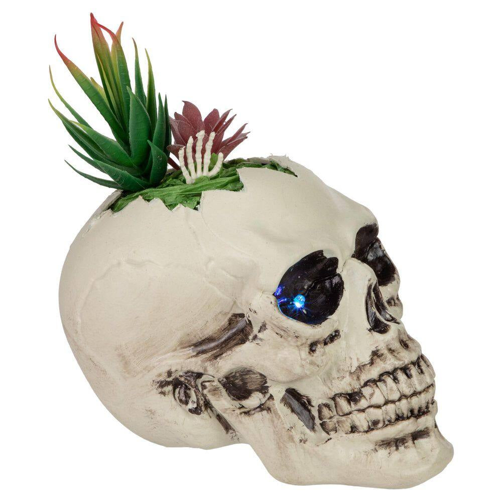 LED Lighted Succulent Halloween Skull Planter-8.75"