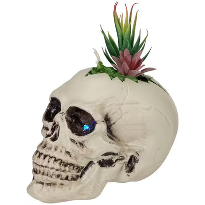LED Lighted Succulent Halloween Skull Planter-8.75"