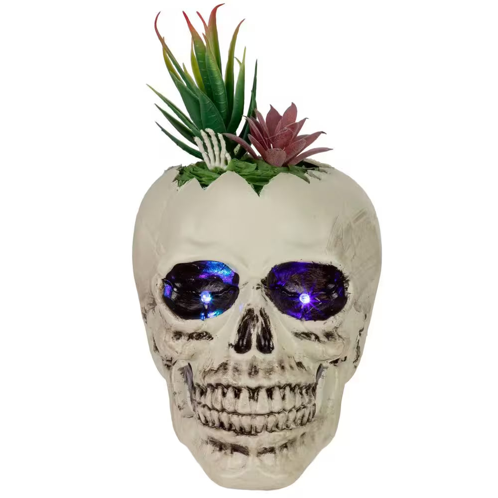 LED Lighted Succulent Halloween Skull Planter-8.75"