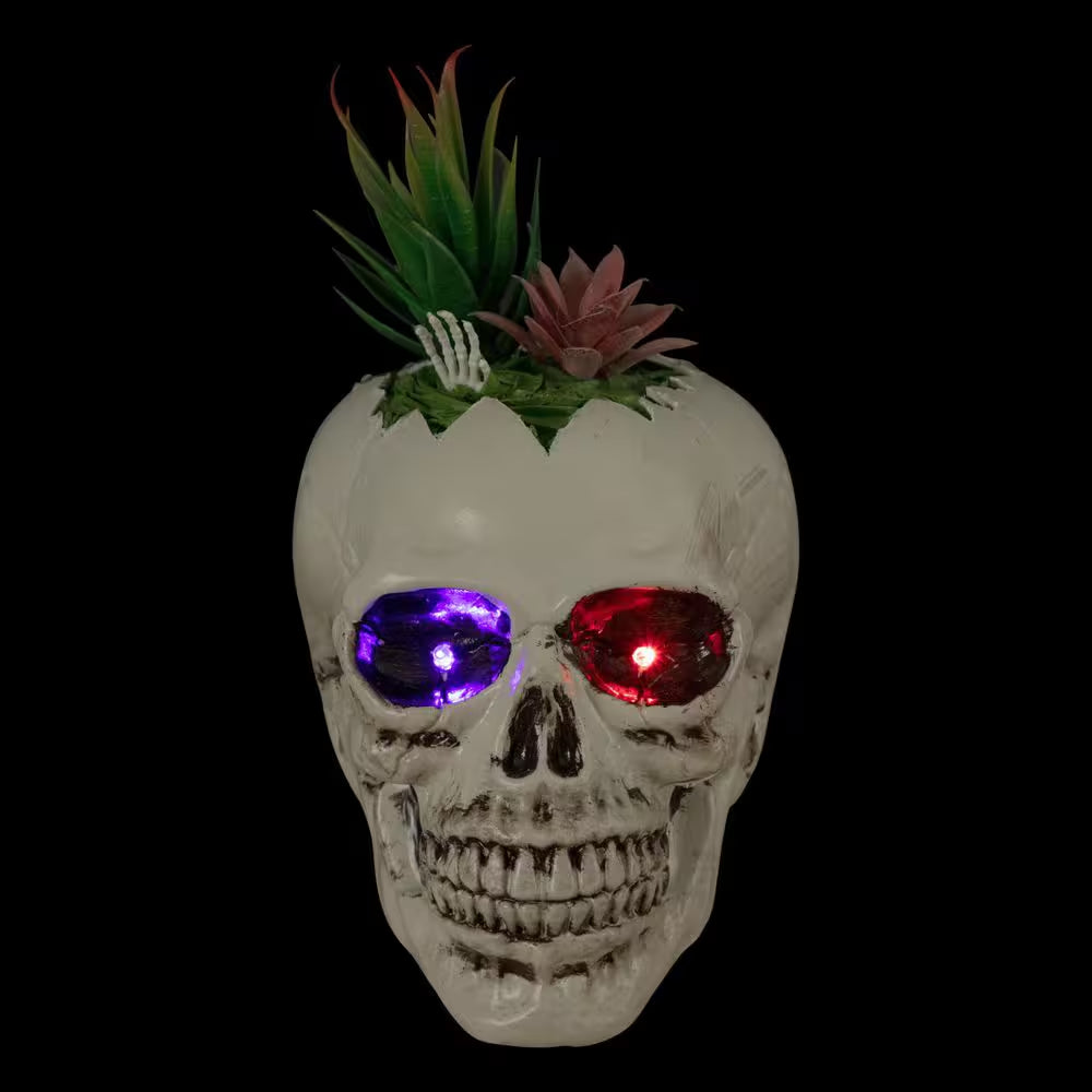 LED Lighted Succulent Halloween Skull Planter-8.75"